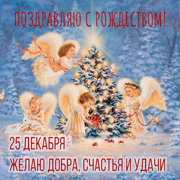 Картинки и открытки с Католическим Рождеством. Красивые открытки с Католическим Рождеством Христовым