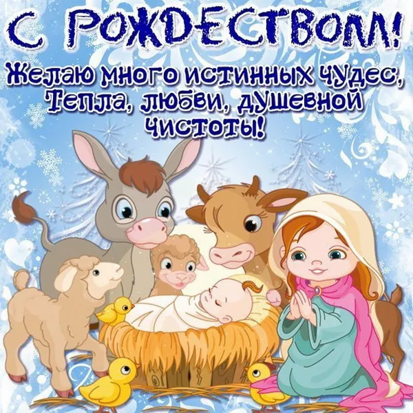 Картинки и открытки с Католическим Рождеством. Рождество Христово - картинки с поздравлениями и надписями