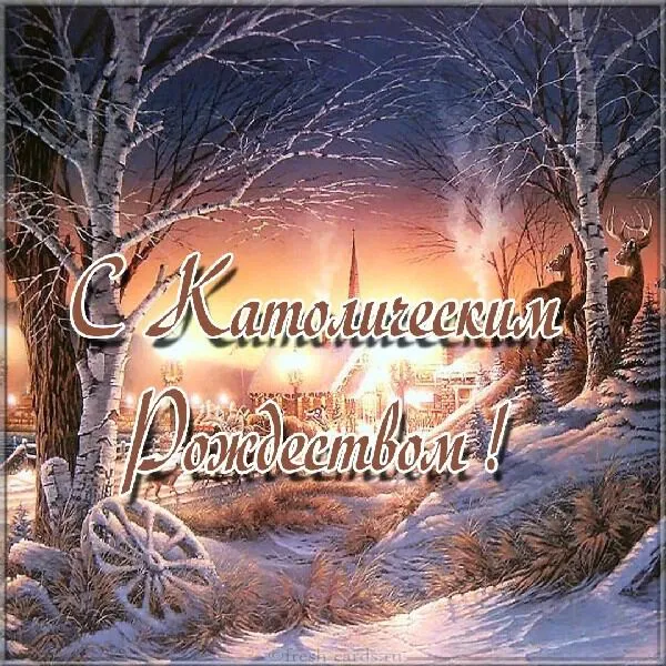 Картинки и открытки с Католическим Рождеством. Красивые открытки с Католическим Рождеством Христовым