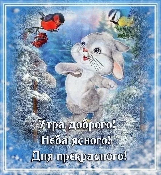 Позитивные картинки Доброго зимнего утра . Картинки с Добрым зимним утром позитивные и прикольные