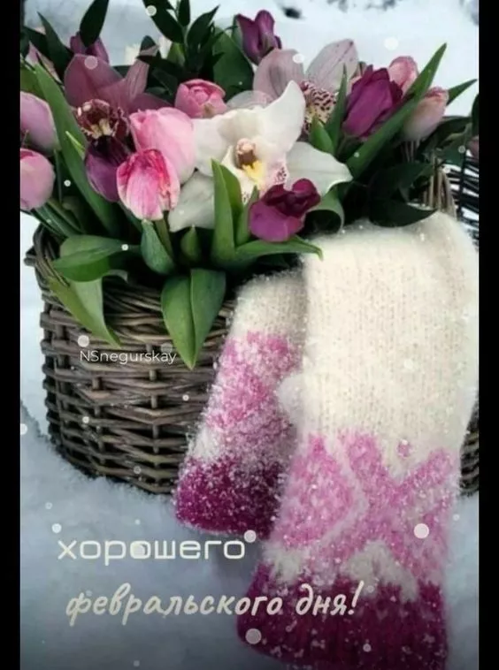 Красивые картинки Доброе утро февраля. Доброе утро февраля: красивые картинки