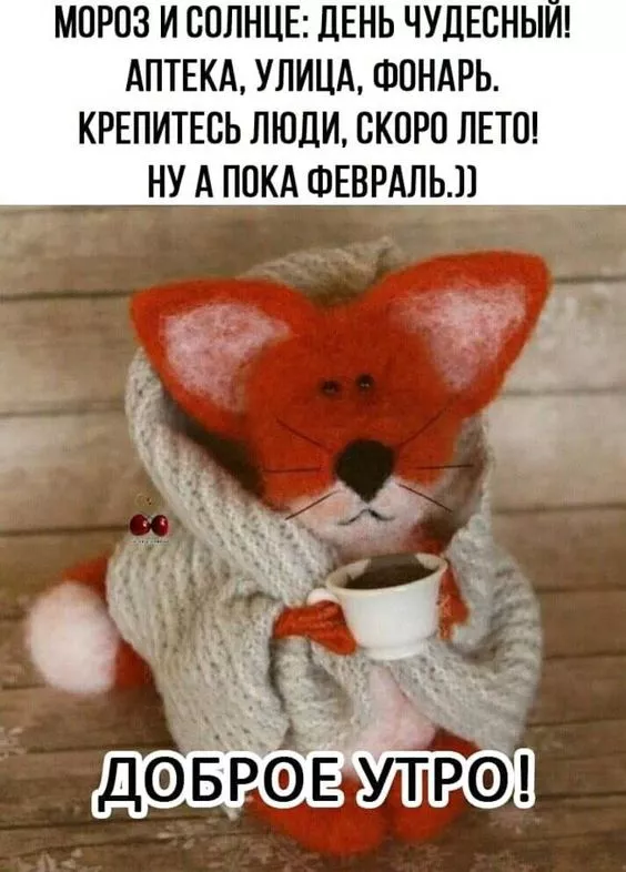 Красивые картинки Доброе утро февраля. С добрым утром Февраля - прикольные картинки