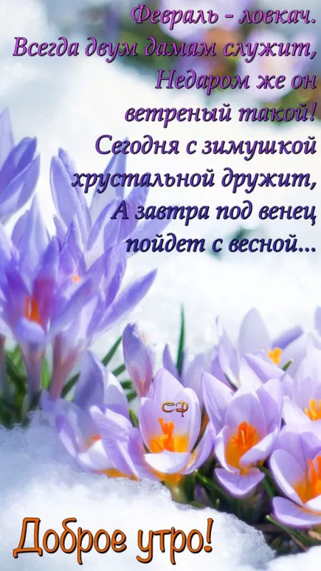 Красивые картинки Доброе утро февраля. Картинки Доброе утро февраля с пожеланиями