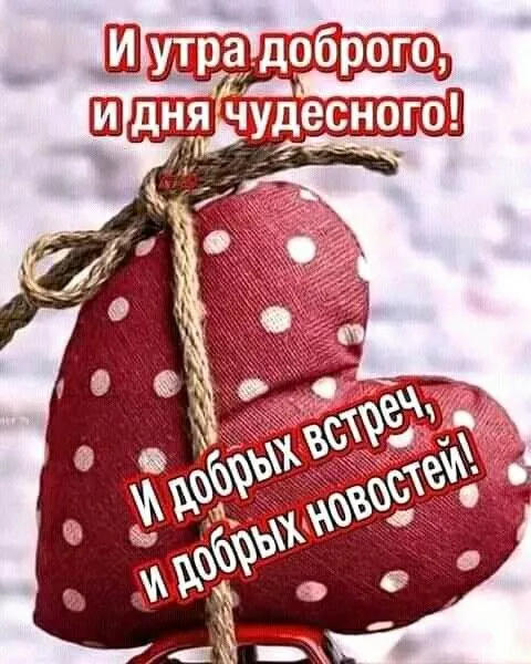 Позитивные картинки Доброго зимнего утра . Картинки с Добрым зимним утром позитивные и прикольные