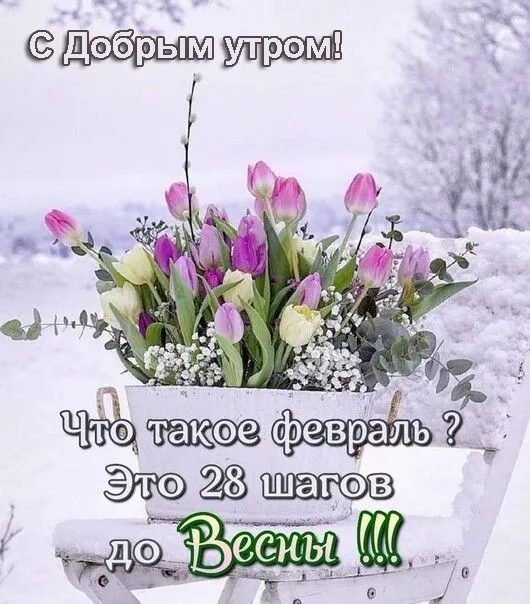 Красивые картинки Доброе утро февраля. Картинки Доброе утро февраля с пожеланиями