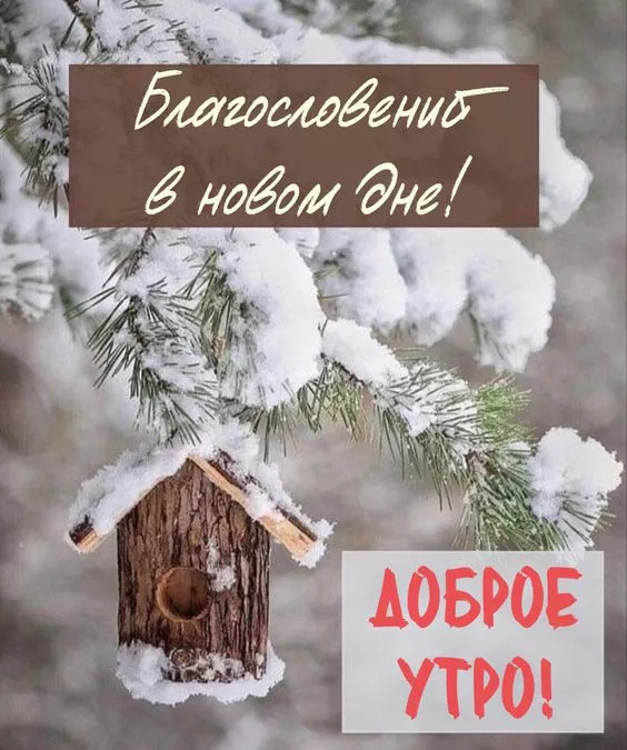 Позитивные картинки Доброго зимнего утра . Картинки с Добрым зимним утром позитивные и прикольные