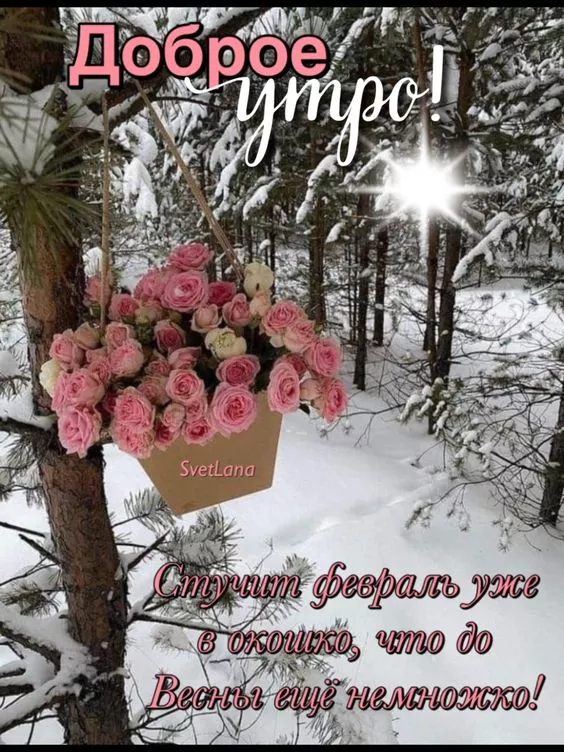 Красивые картинки Доброе утро февраля. Картинки Доброе утро февраля с пожеланиями
