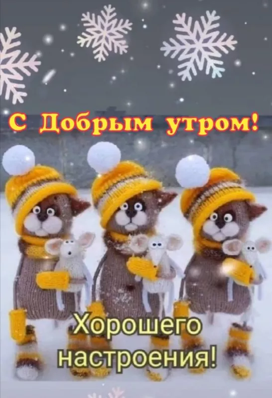 Позитивные картинки Доброго зимнего утра . Картинки с Добрым зимним утром позитивные и прикольные