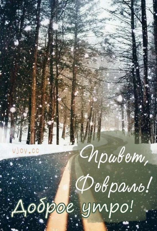 Красивые картинки Доброе утро февраля. Доброе утро февраля: красивые картинки