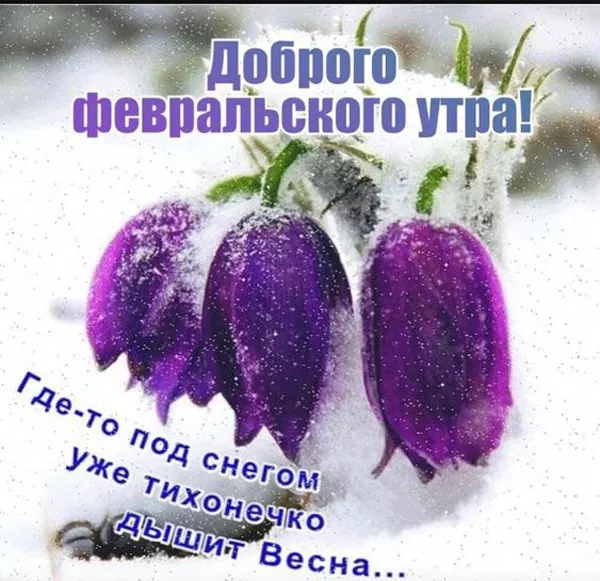 Красивые картинки Доброе утро февраля