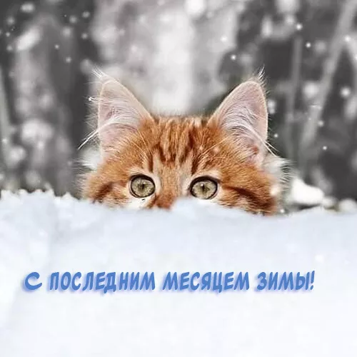 Картинки с последним месяцем зимы. С последним месяцем зимы: красивые картинки