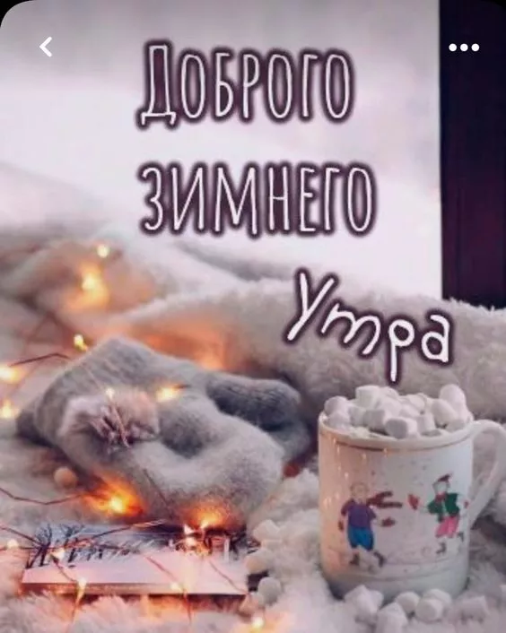 Позитивные картинки Доброго зимнего утра . Картинки с Добрым зимним утром позитивные и прикольные