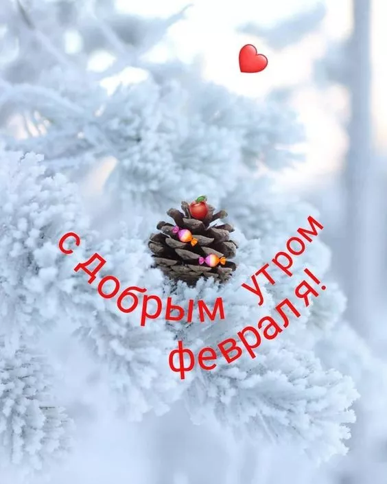 Красивые картинки Доброе утро февраля. Доброе утро февраля: красивые картинки