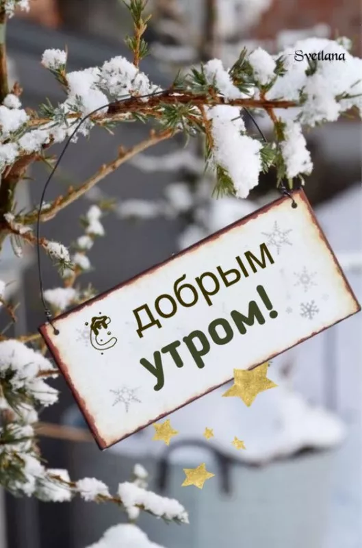Позитивные картинки Доброго зимнего утра . Картинки с Добрым зимним утром позитивные и прикольные
