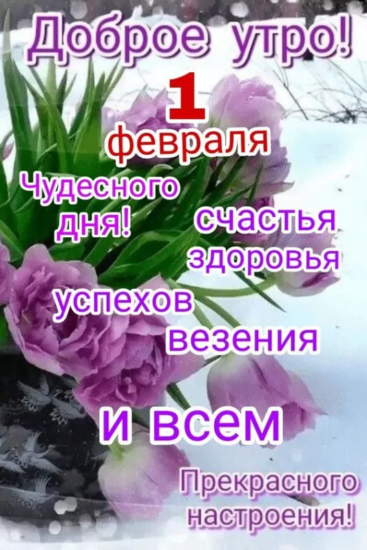 Красивые картинки Доброе утро февраля. Картинки Доброе утро 1 февраля