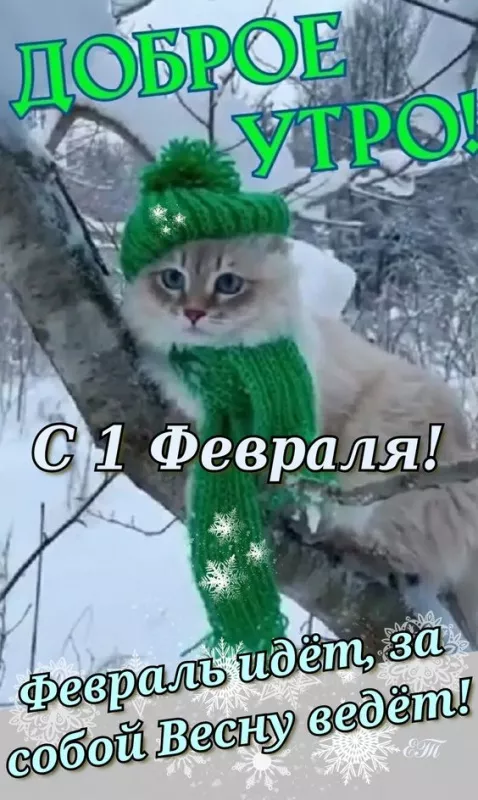 Красивые картинки Доброе утро февраля. Картинки Доброе утро 1 февраля