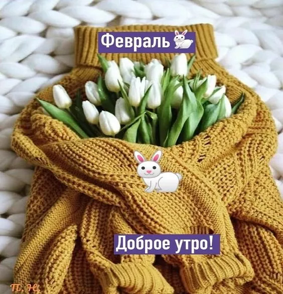 Красивые картинки Доброе утро февраля. С добрым утром Февраля - прикольные картинки