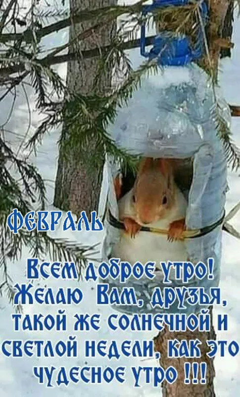 Красивые картинки Доброе утро февраля. Картинки Доброе утро февраля с пожеланиями