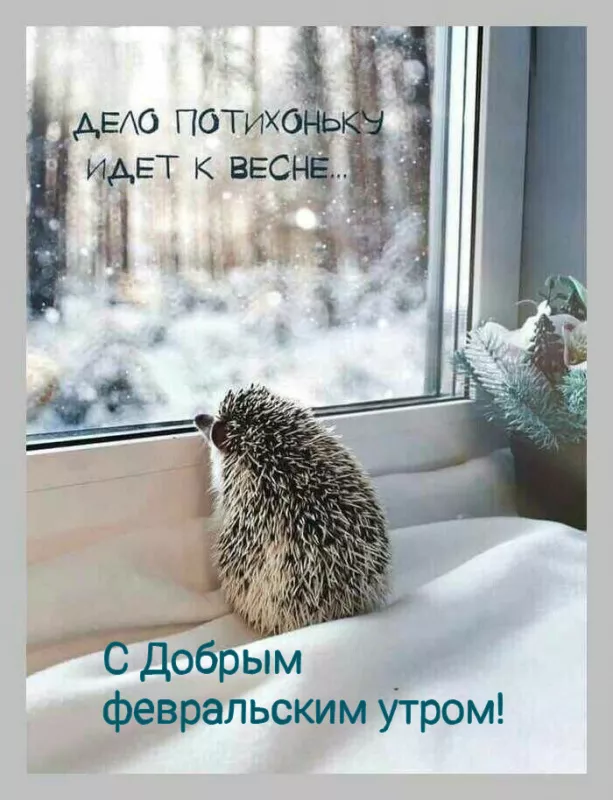 Красивые картинки Доброе утро февраля. С добрым утром Февраля - прикольные картинки