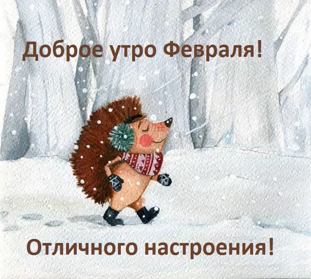 Красивые картинки Доброе утро февраля. С добрым утром Февраля - прикольные картинки