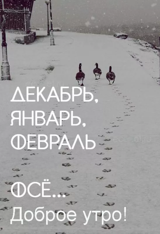 Красивые картинки Доброе утро февраля. С добрым утром Февраля - прикольные картинки