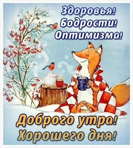 Позитивные картинки Доброго зимнего утра . Картинки с Добрым зимним утром позитивные и прикольные