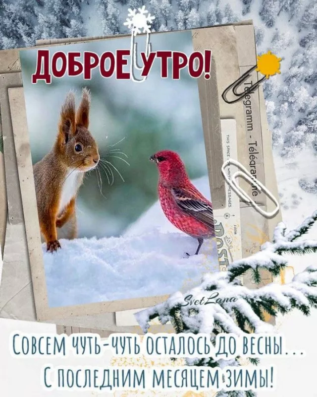 Красивые картинки Доброе утро февраля. С добрым утром Февраля - прикольные картинки