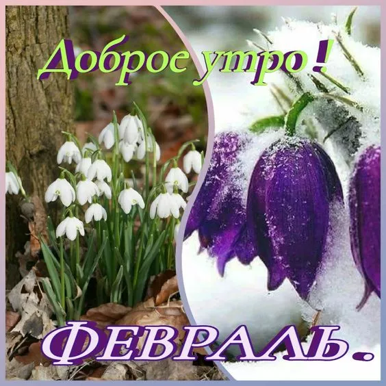 Красивые картинки Доброе утро февраля. Доброе утро февраля: красивые картинки