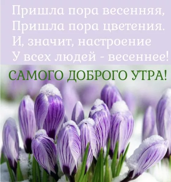 Красивые картинки С добрым весенним утром. Доброго утра и весеннего настроения: картинки с пожеланиями