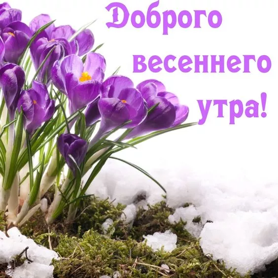 Красивые картинки С добрым весенним утром. Картинки с надписями — С добрым весенним утром
