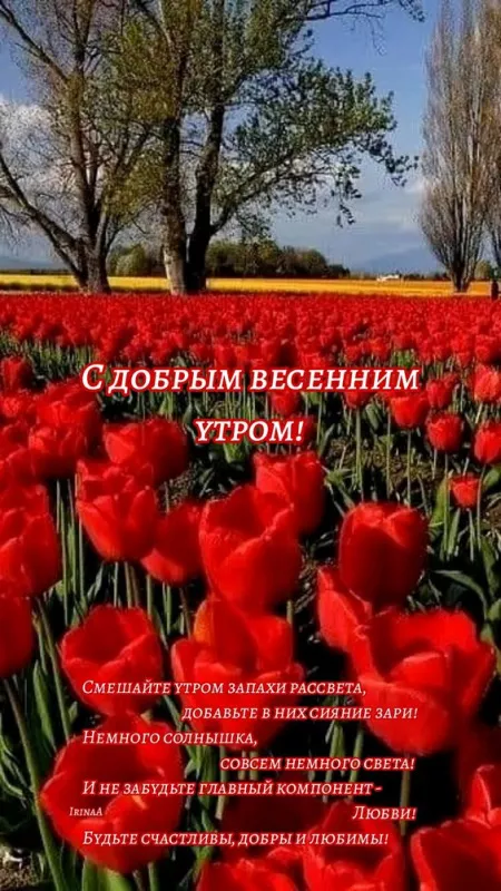 Красивые картинки С добрым весенним утром. Доброго утра и весеннего настроения: картинки с пожеланиями