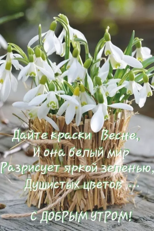 Красивые картинки С добрым весенним утром. Позитивные картинки "С добрым весенним утром"