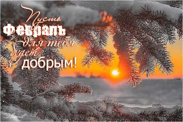 Картинки с последним месяцем зимы. Позитивные картинки С последним месяцем зимы: февраль