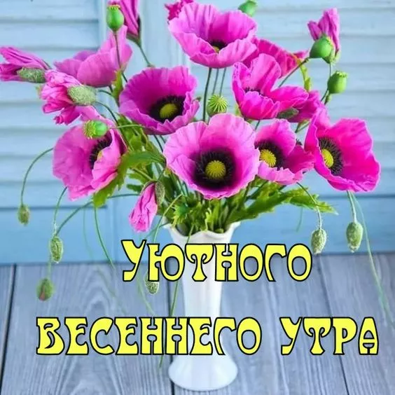 Красивые картинки С добрым весенним утром. Картинки с надписями — С добрым весенним утром