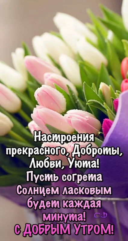 Красивые картинки С добрым весенним утром. Доброго утра и весеннего настроения: картинки с пожеланиями