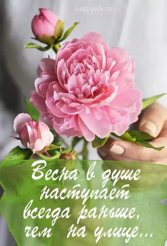 Красивые картинки С добрым весенним утром. Позитивные картинки "С добрым весенним утром"