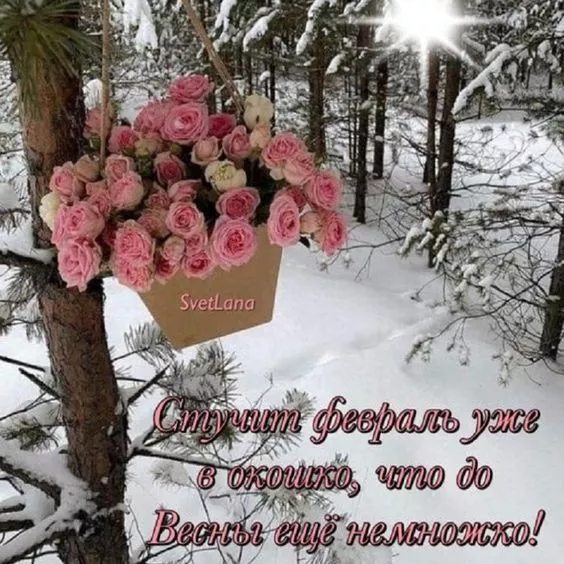 Картинки с последним месяцем зимы. Картинки С последним месяцем зимы: привет февраль