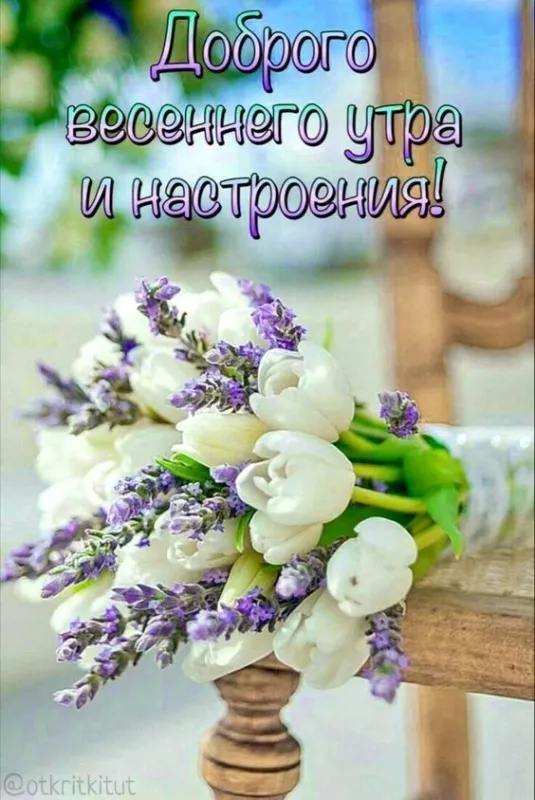 Красивые картинки С добрым весенним утром. Картинки с надписями — С добрым весенним утром