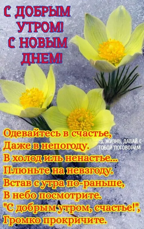Красивые картинки С добрым весенним утром. Позитивные картинки "С добрым весенним утром"