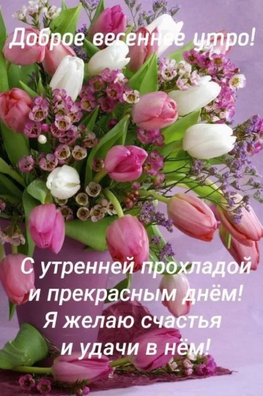 Красивые картинки С добрым весенним утром. Картинки с надписями — С добрым весенним утром