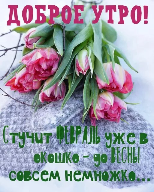 Картинки с последним месяцем зимы. Картинки С последним месяцем зимы: привет февраль