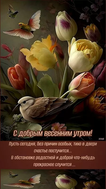 Красивые картинки С добрым весенним утром. Позитивные картинки "С добрым весенним утром"
