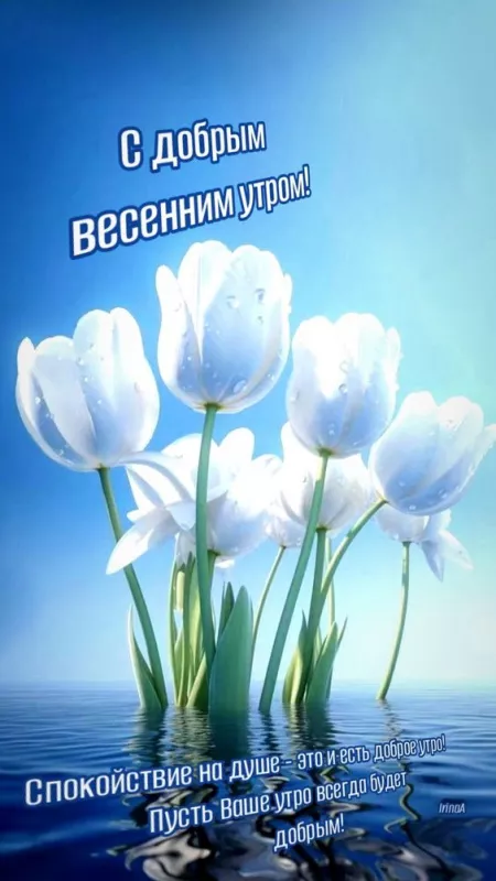 Красивые картинки С добрым весенним утром. Картинки с надписями — С добрым весенним утром
