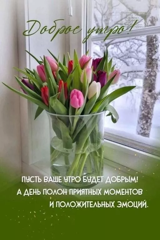 Красивые картинки С добрым весенним утром. Доброго утра и весеннего настроения: картинки с пожеланиями