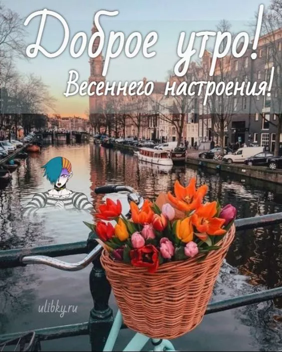 Красивые картинки С добрым весенним утром. С добрым весенним утром — красивые картинки