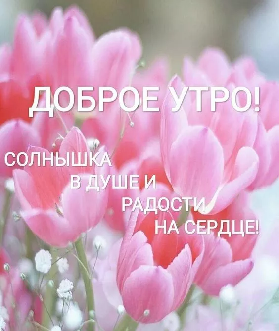 Красивые картинки С добрым весенним утром. С добрым весенним утром — красивые картинки