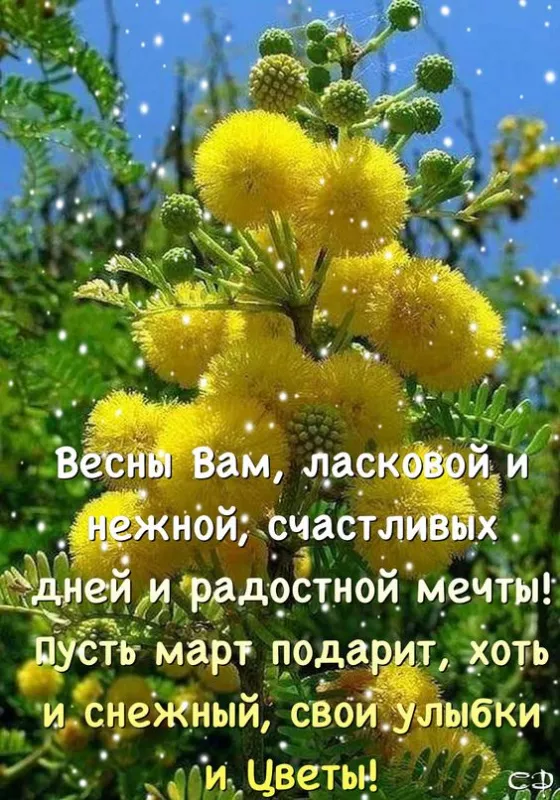 Красивые картинки С добрым весенним утром. Доброго утра и весеннего настроения: картинки с пожеланиями