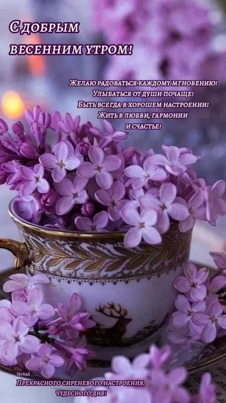 Красивые картинки С добрым весенним утром. Доброго утра и весеннего настроения: картинки с пожеланиями