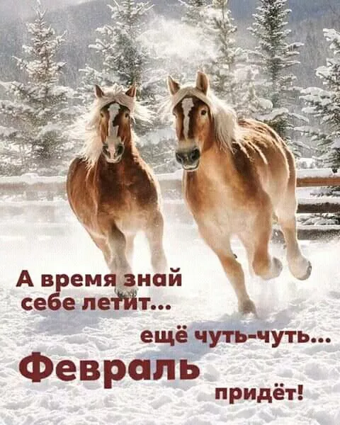 Картинки с последним месяцем зимы. Позитивные картинки С последним месяцем зимы: февраль