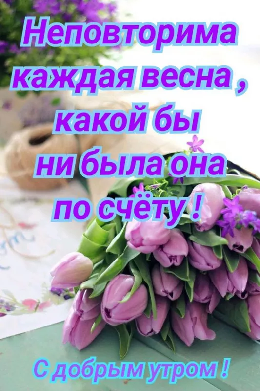 Красивые картинки С добрым весенним утром. Доброго утра и весеннего настроения: картинки с пожеланиями